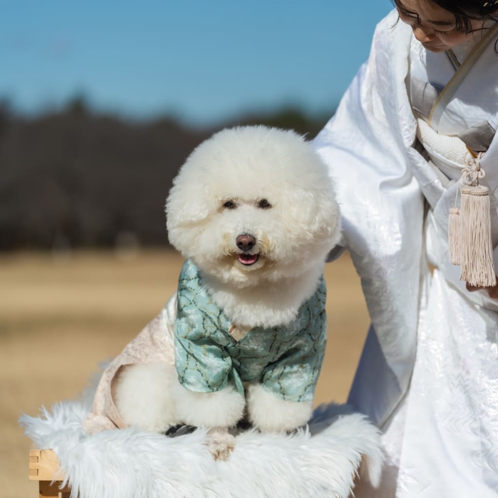 12月和装ロケーション＋犬🍁
