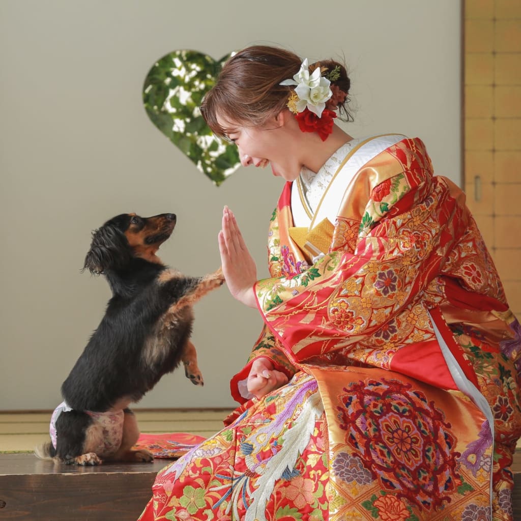 ペットと一緒に結婚写真🐾 