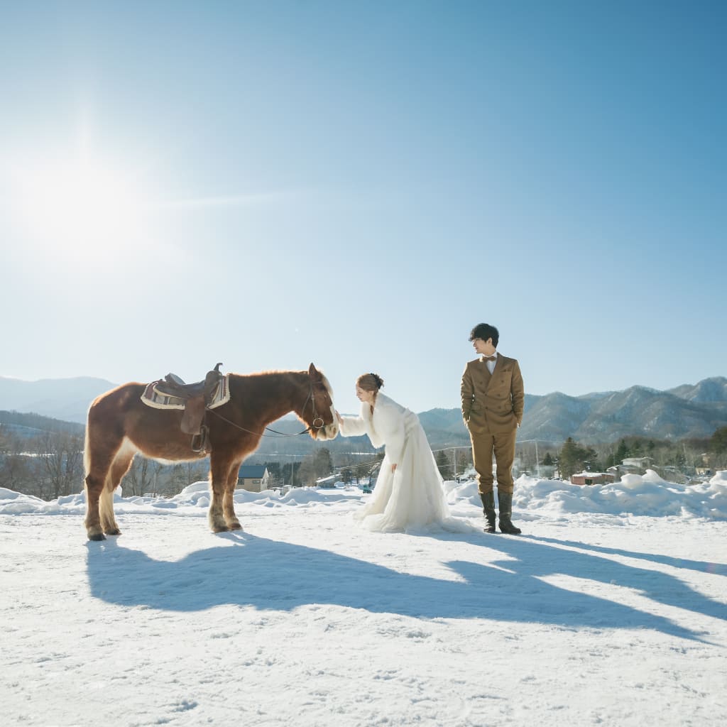 乗馬プランは美瑛だけじゃない！札幌店からもご案内できる場所があります！