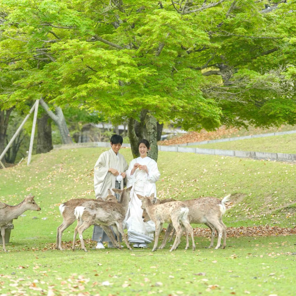 春ロケーション撮影