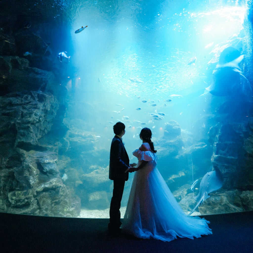 水族館で幻想的な写真を　京都水族館ロケーション