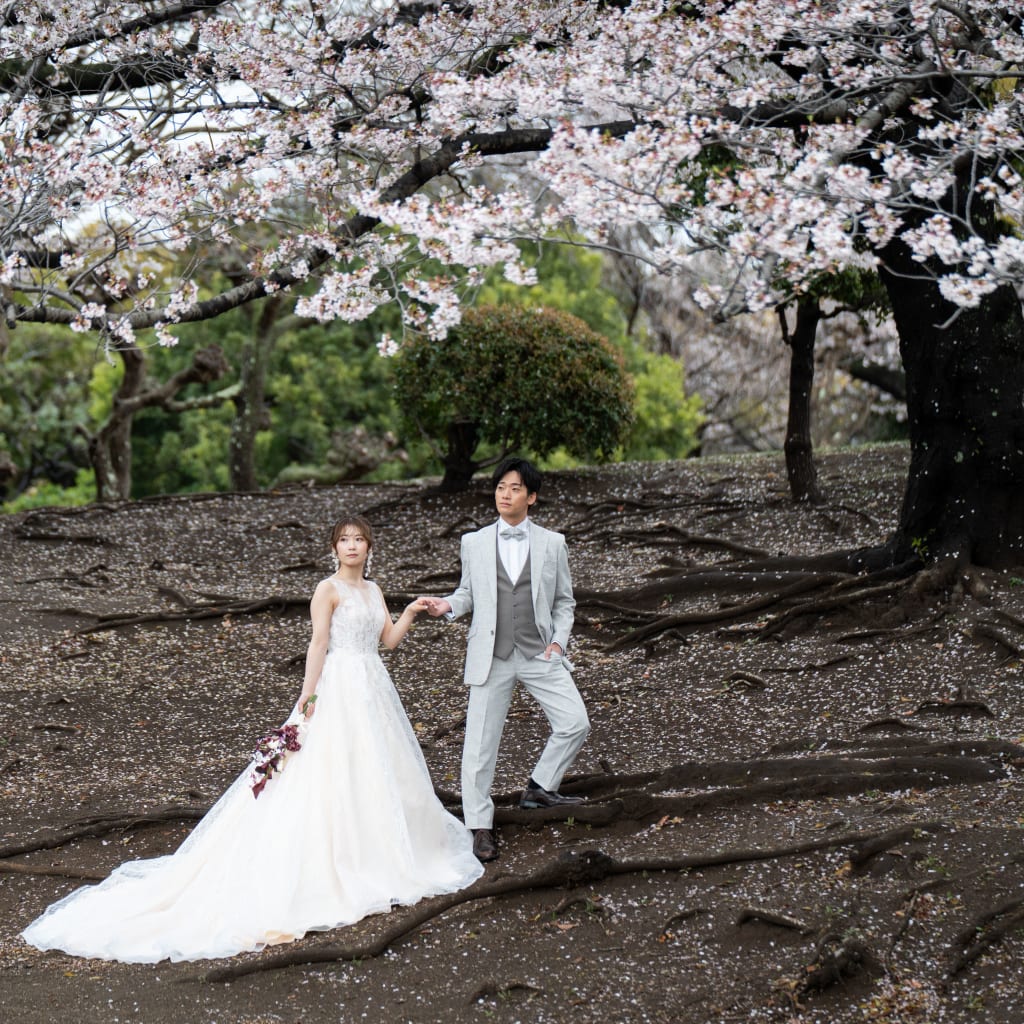 船橋の桜ロケーションのご紹介