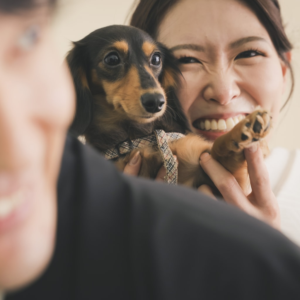 千葉船橋店ではスタジオでペット撮影ができます♩