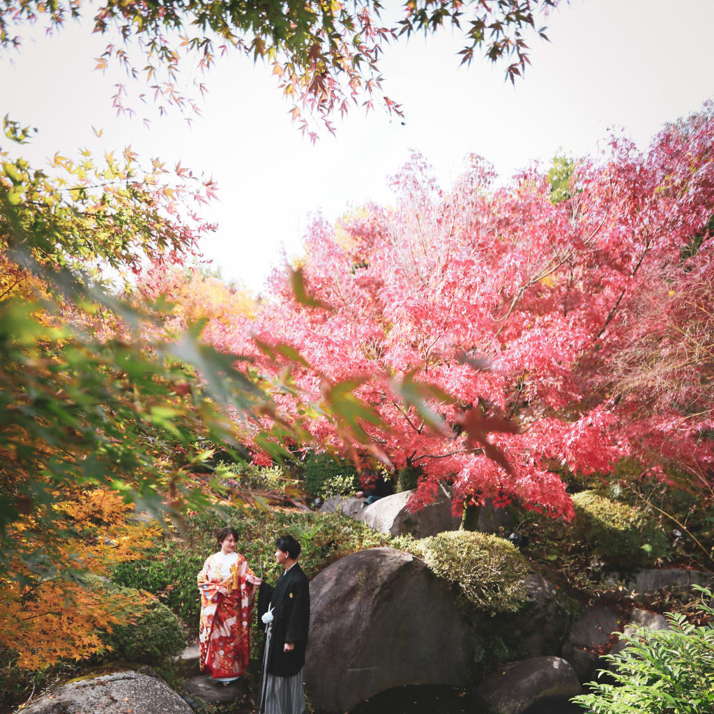 紅葉真っ盛り | デコルテフォトグラフィー | 前撮り・フォトウェディング