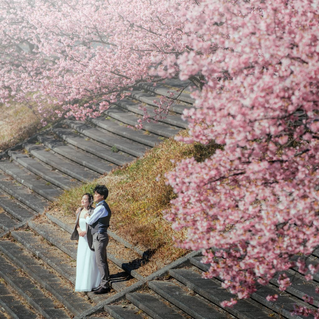 今年も始まります！