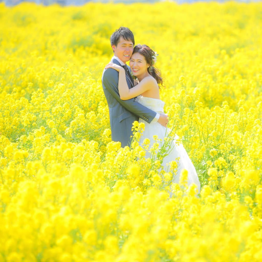 菜の花畑と海！ | デコルテフォトグラフィー | 前撮り・フォトウェディング