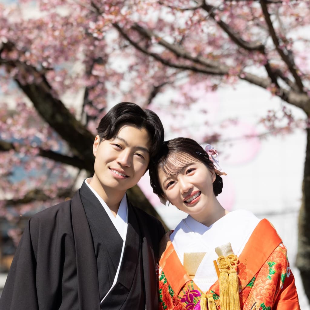 桜の季節！春の浅草周遊ロケーション