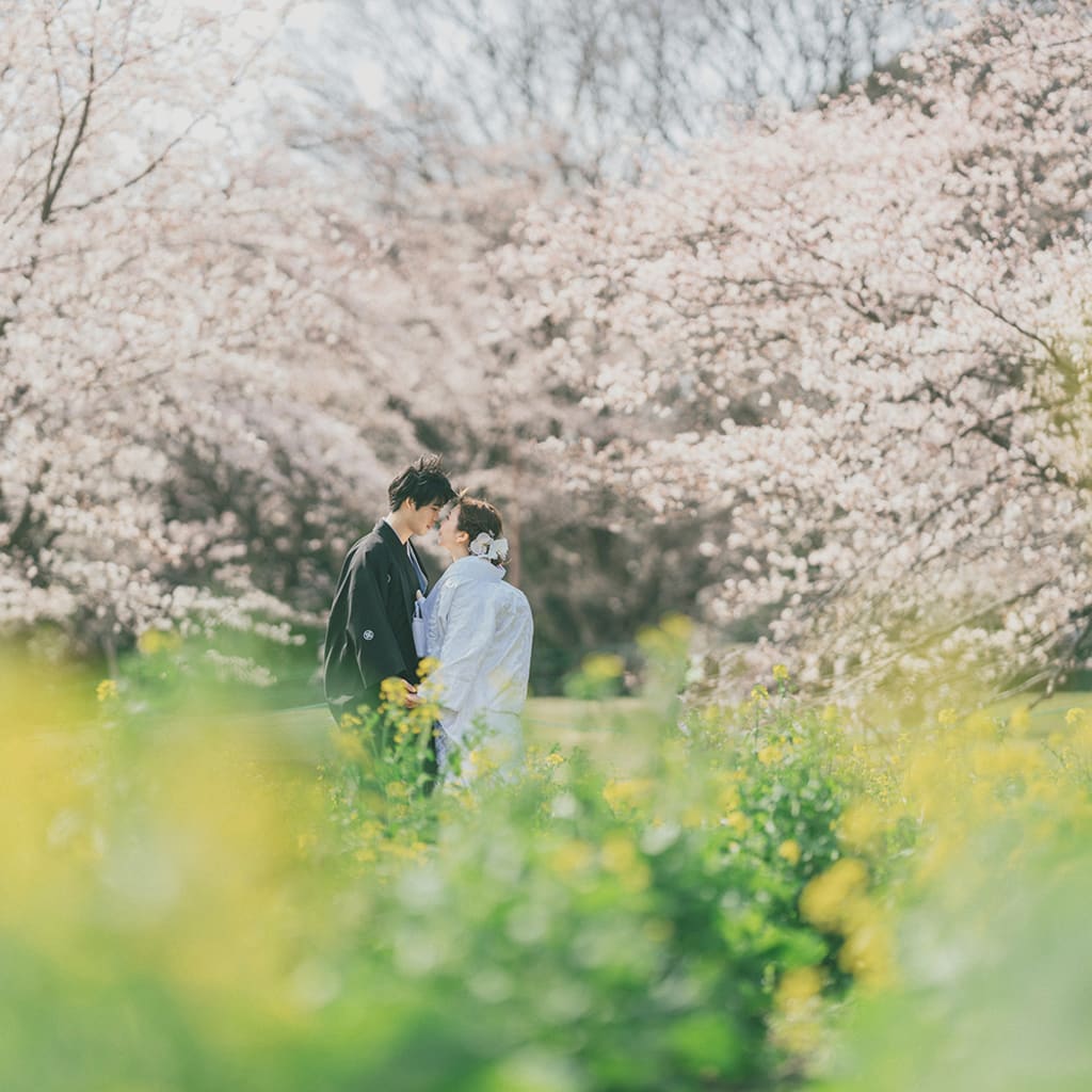 桜満開 | デコルテフォトグラフィー | 前撮り・フォトウェディング