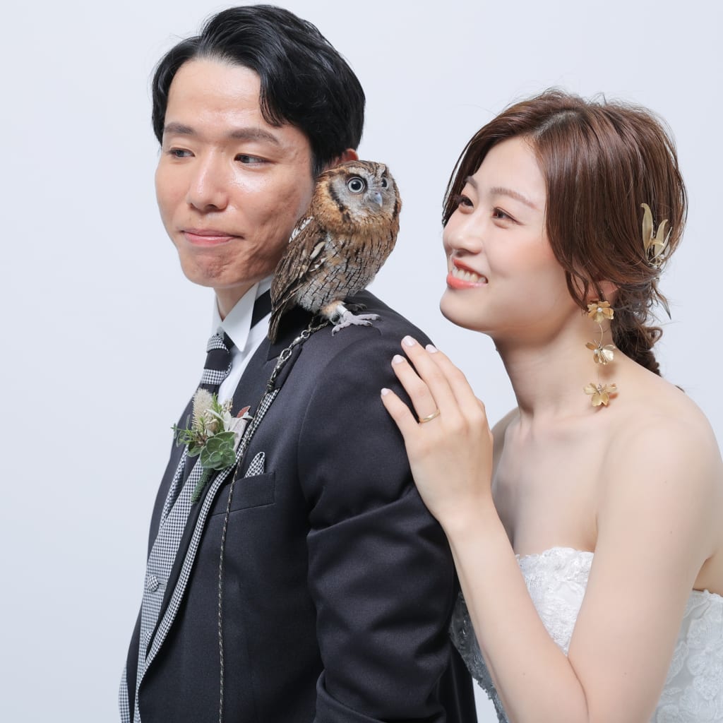 自由な撮影が魅力的！【洋装ハウススタジオ】 | デコルテフォトグラフィー | 前撮り・フォトウェディング