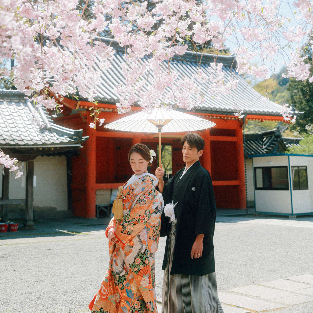 桜のシャワー | デコルテフォトグラフィー | 前撮り・フォトウェディング