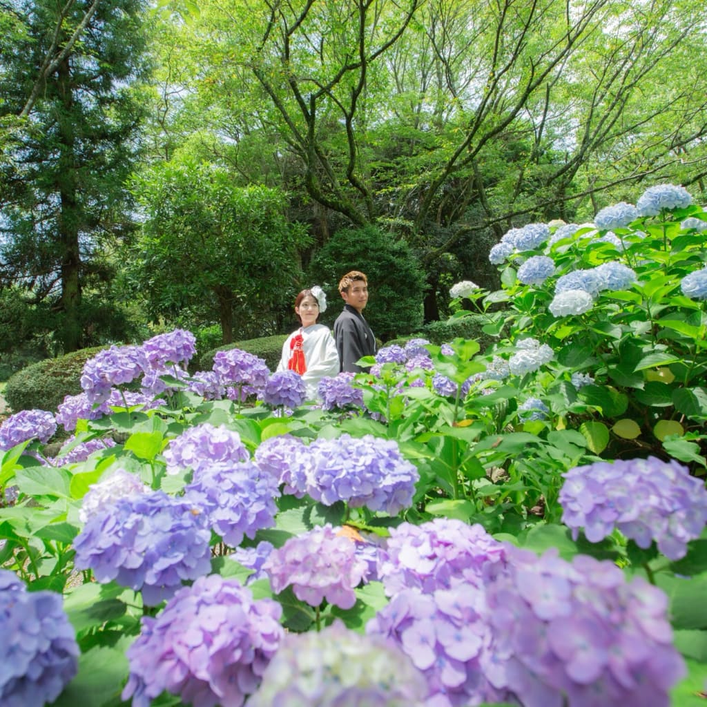 6月　紫陽花や新緑の和装撮影