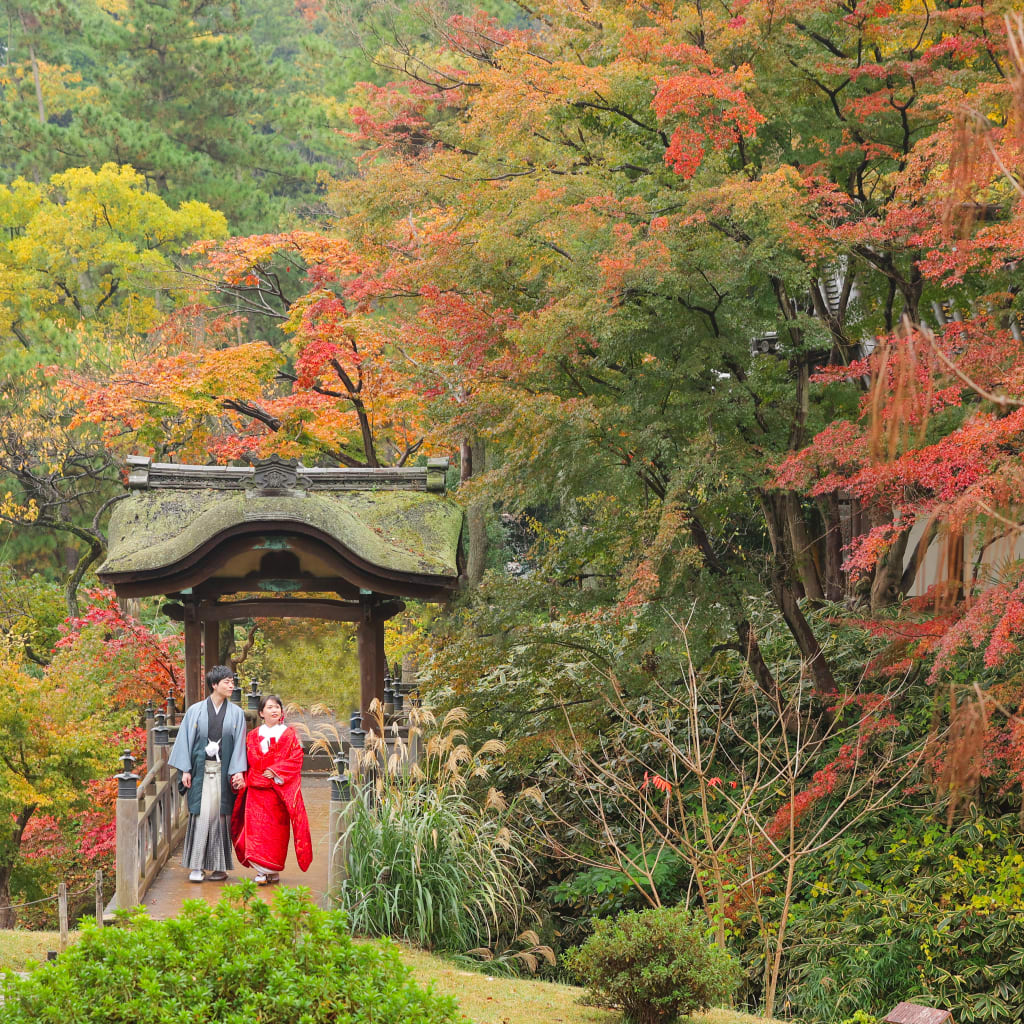 グラデーション美しい三渓園の紅葉　photo by谷澤明美 | デコルテフォトグラフィー | 前撮り・フォトウェディング