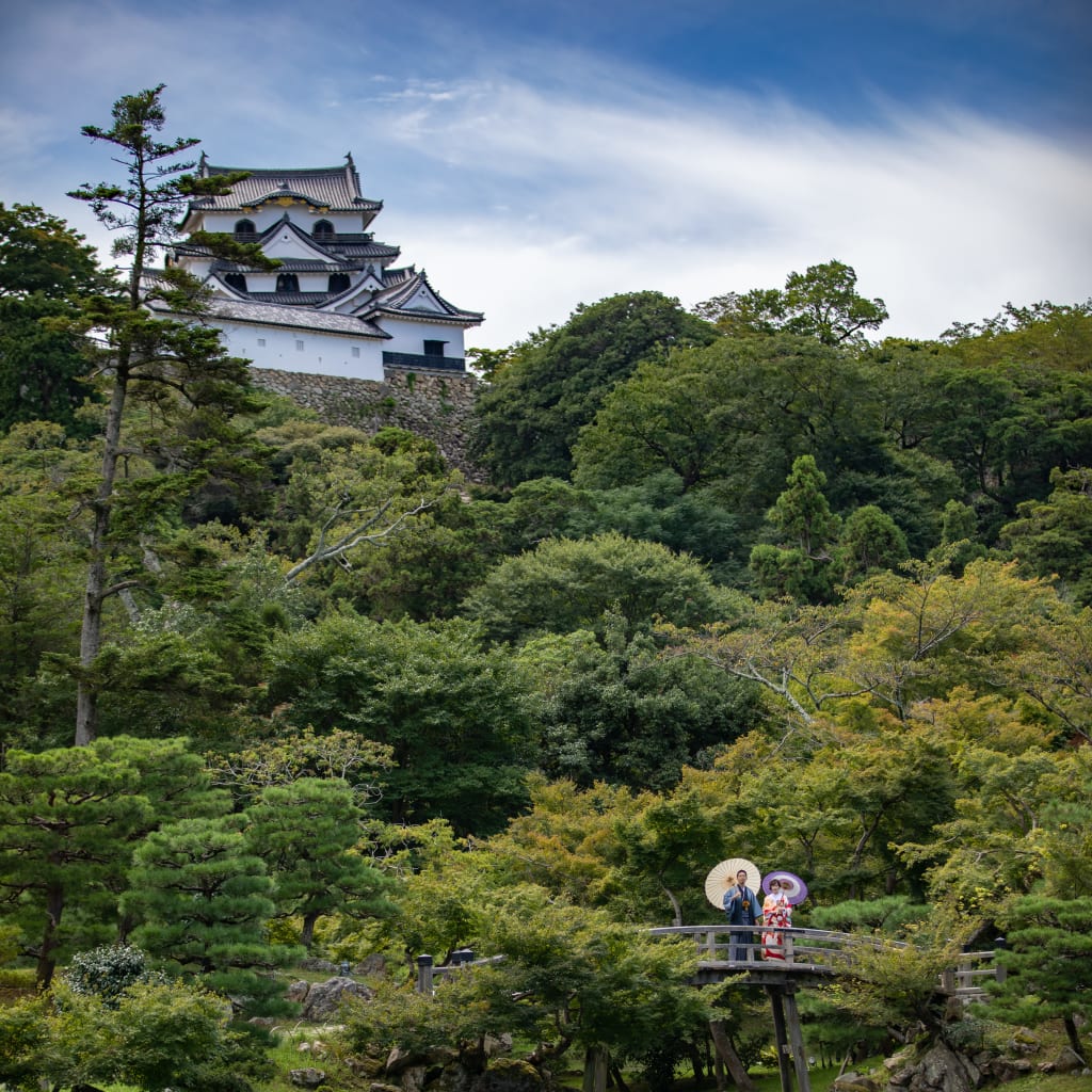 #和装 #彦根城 #和装前撮り #色打掛 #日本庭園