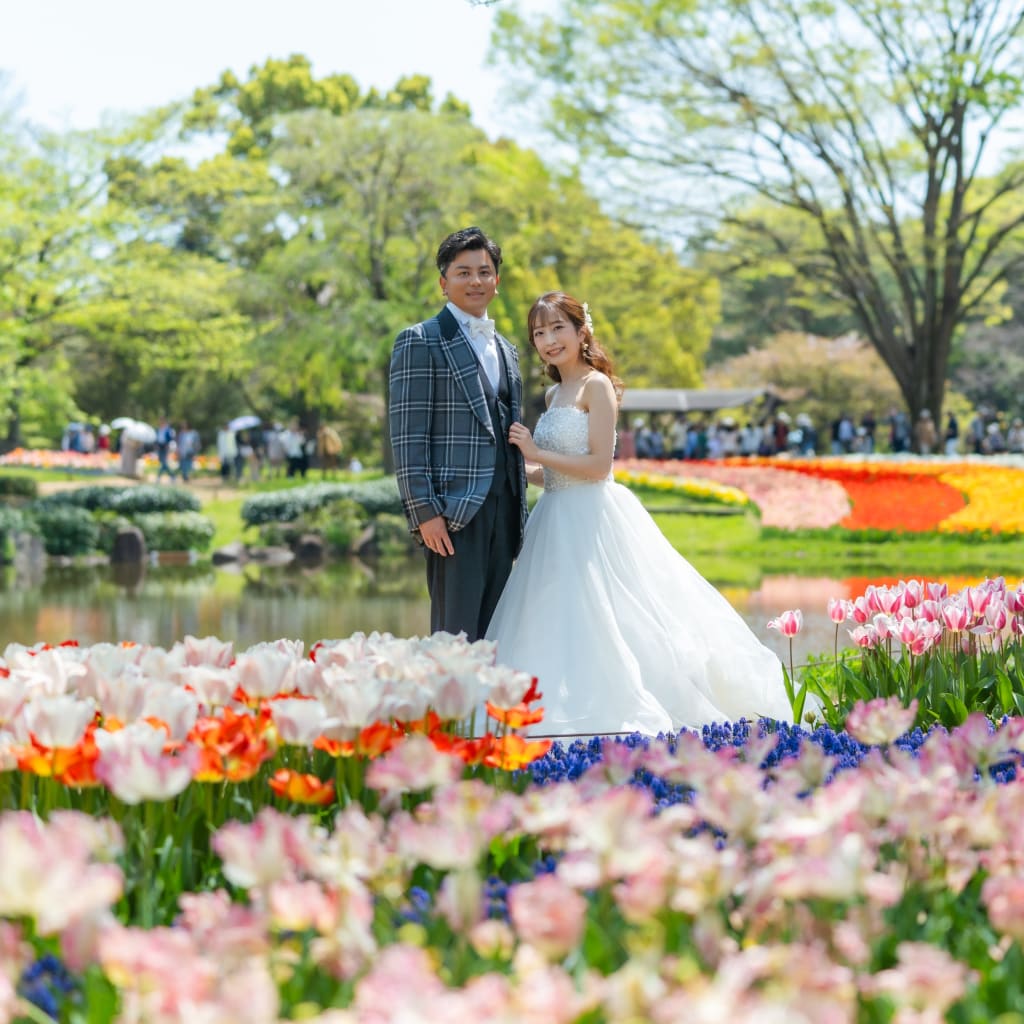 昭和記念公園　桜、チューリップ、菜の花あります🎶『4月15日撮影』