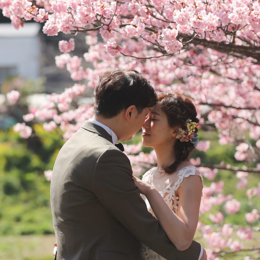 河津桜 | デコルテフォトグラフィー | 前撮り・フォトウェディング