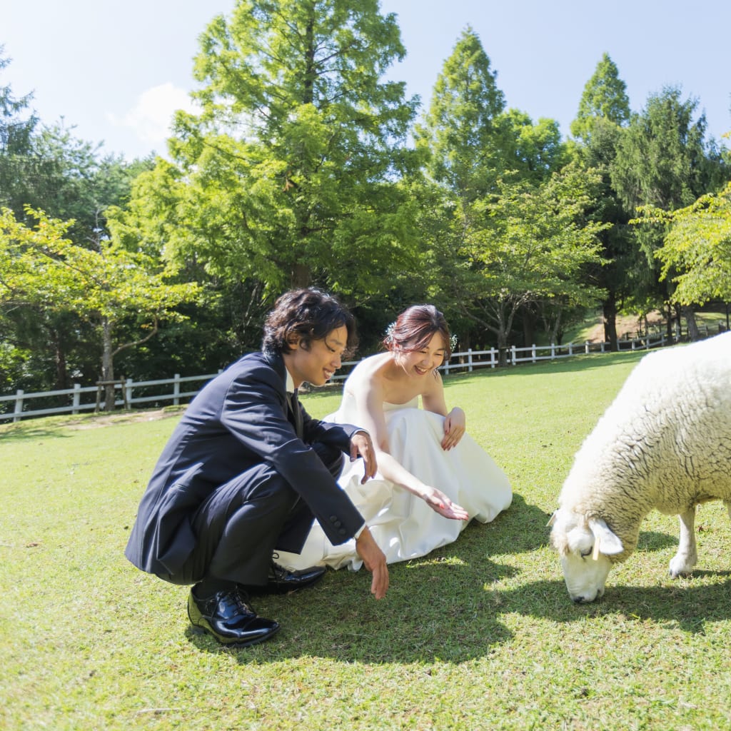 六甲山牧場&六甲サイレンスリゾート