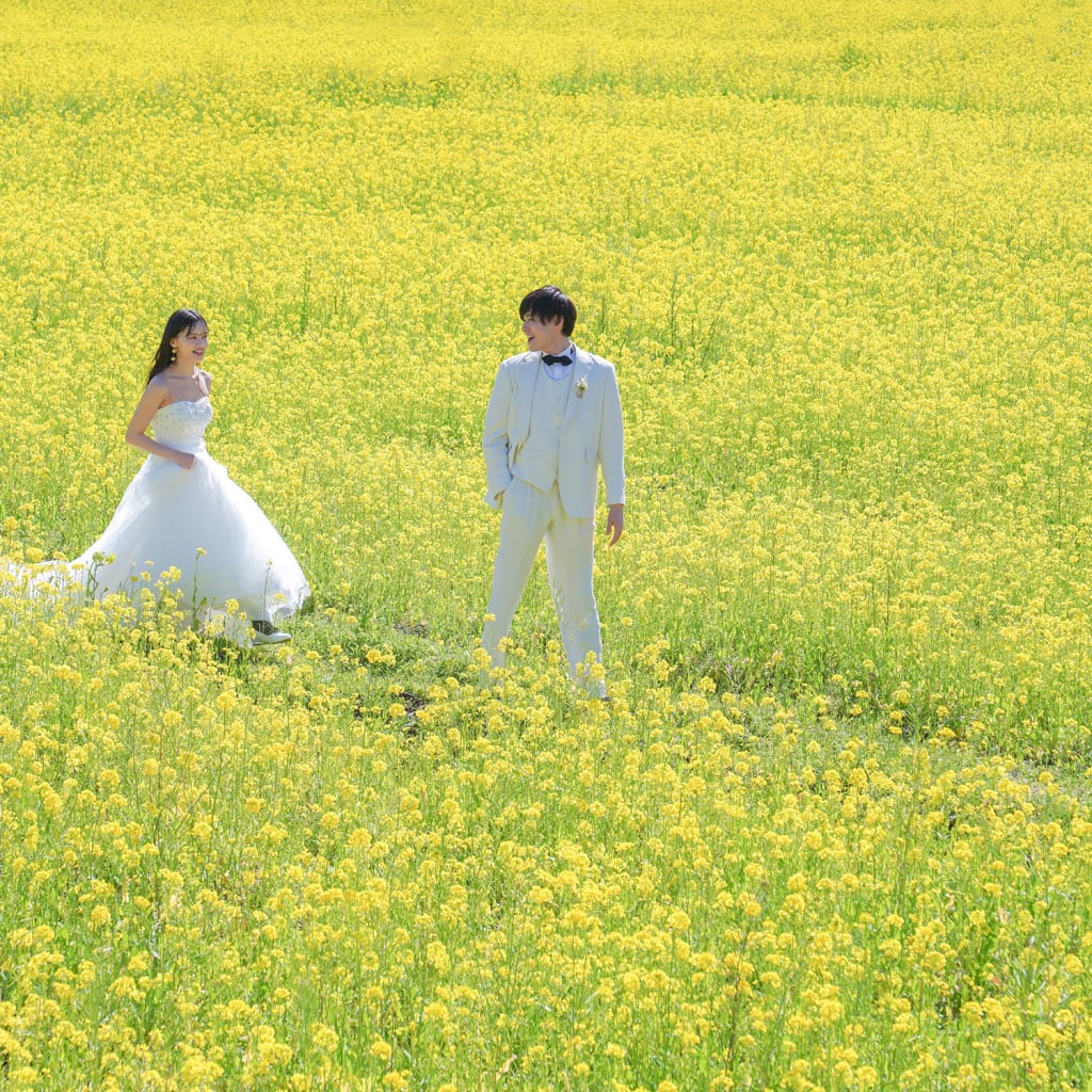 元気な百姓達の菜の花畑