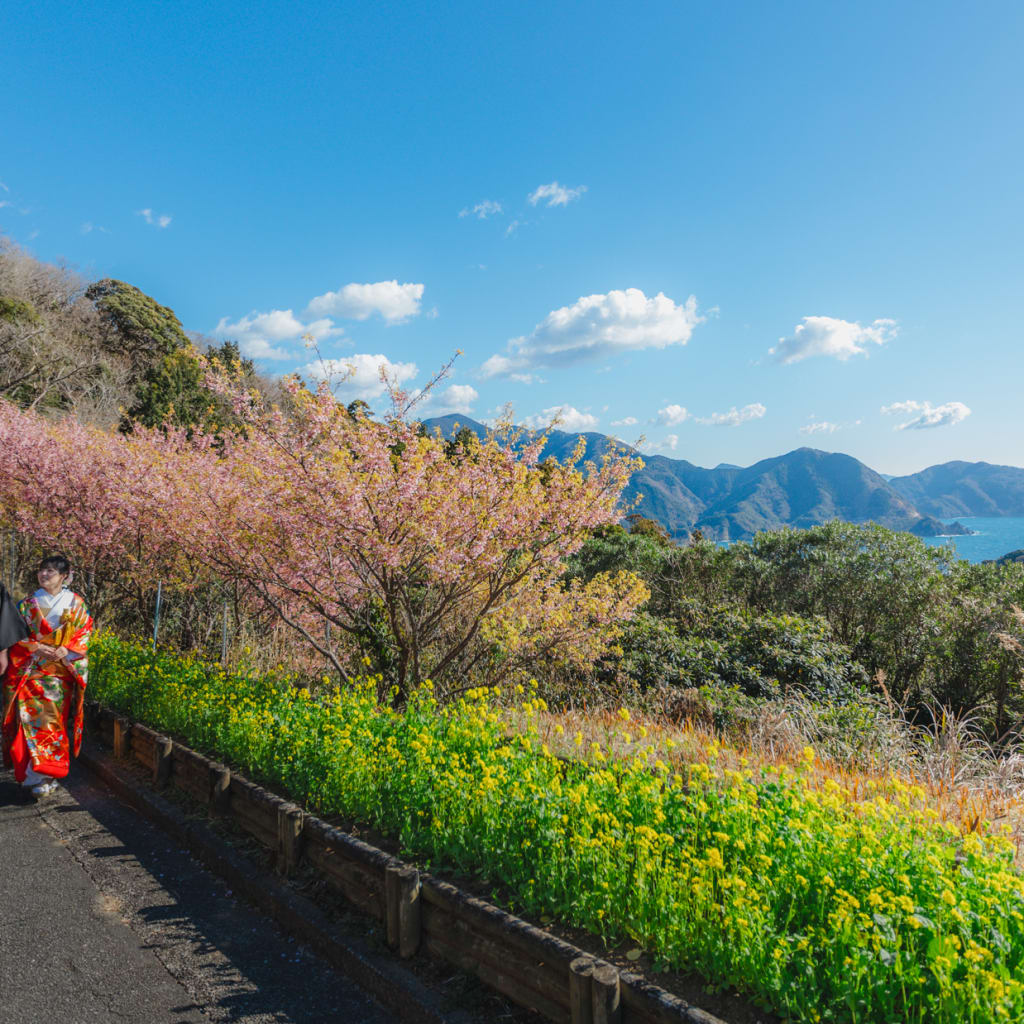 春の訪れを、伊豆の絶景と共に。