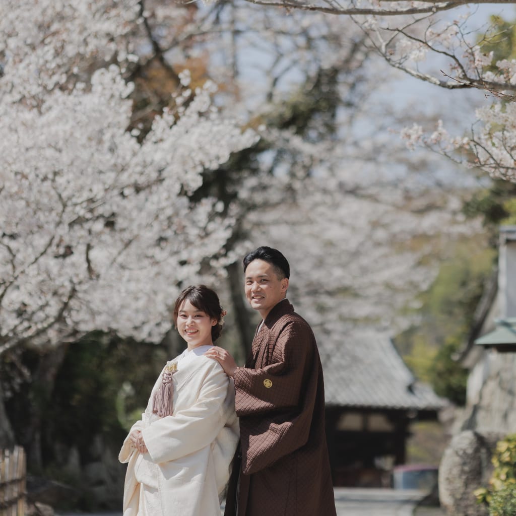 春検討の方必見！！桜の太山寺ロケーション