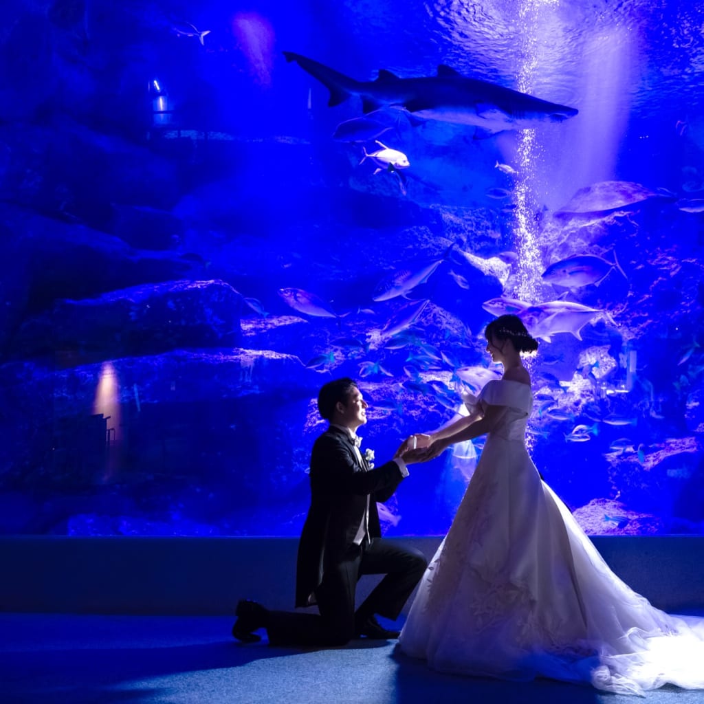 すみだ水族館 | デコルテフォトグラフィー | 前撮り・フォトウェディング