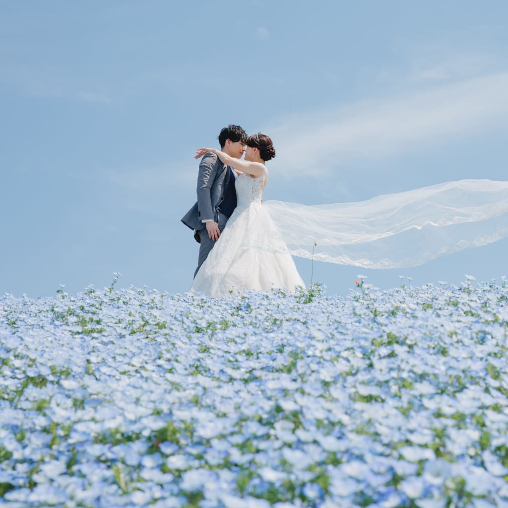 海と花畑で鮮やかに