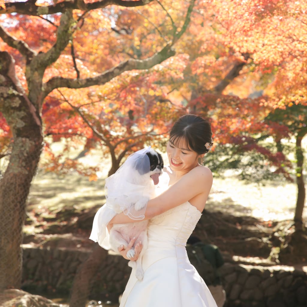 ワンちゃんと！秋のロケーション撮影！ | デコルテフォトグラフィー | 前撮り・フォトウェディング