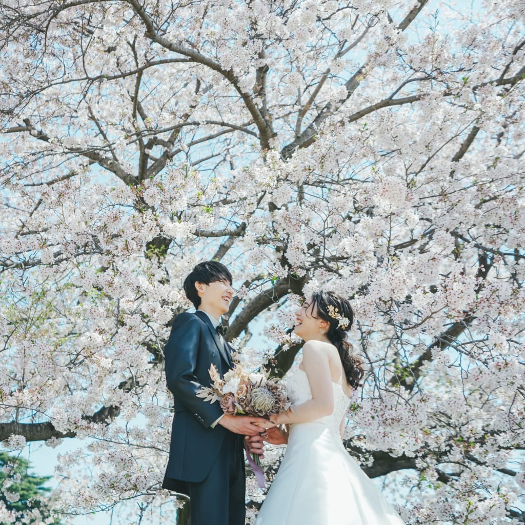 桜と昭和記念公園 | デコルテフォトグラフィー | 前撮り・フォトウェディング