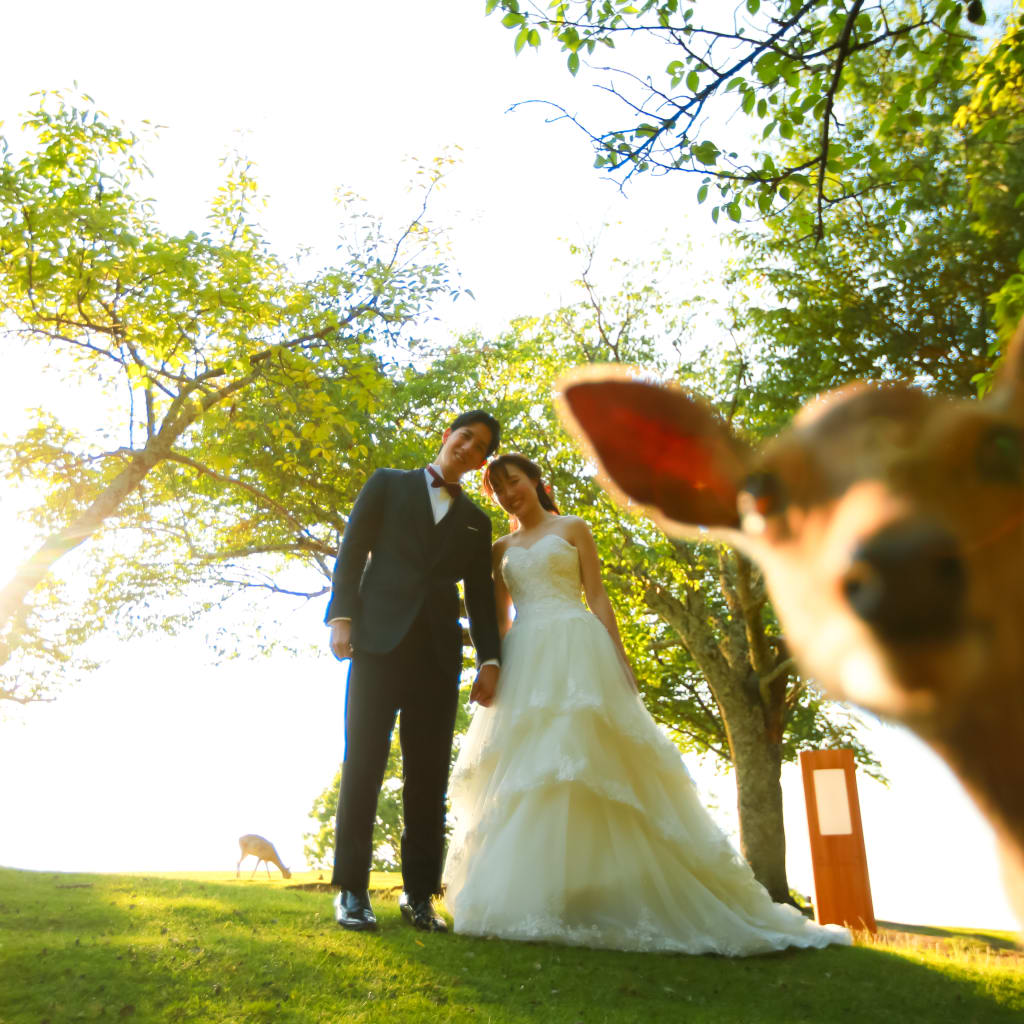 奈良公園から若草山まで | デコルテフォトグラフィー | 前撮り・フォトウェディング