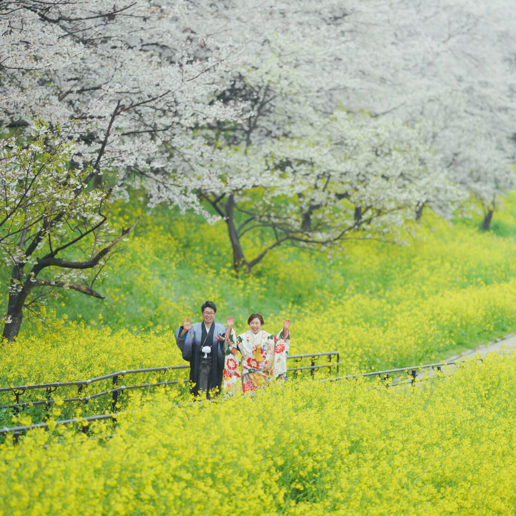 桜　前撮り