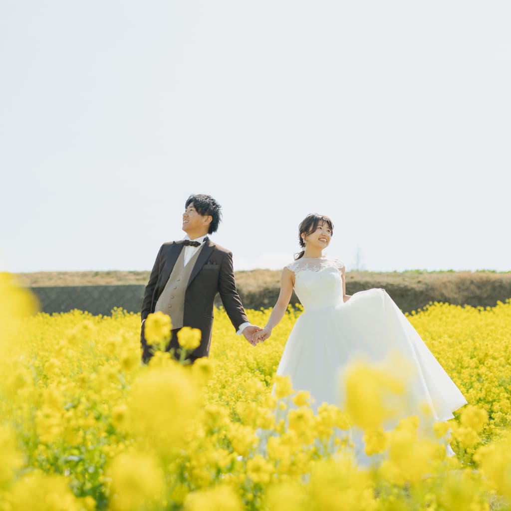菜の花のお花畑