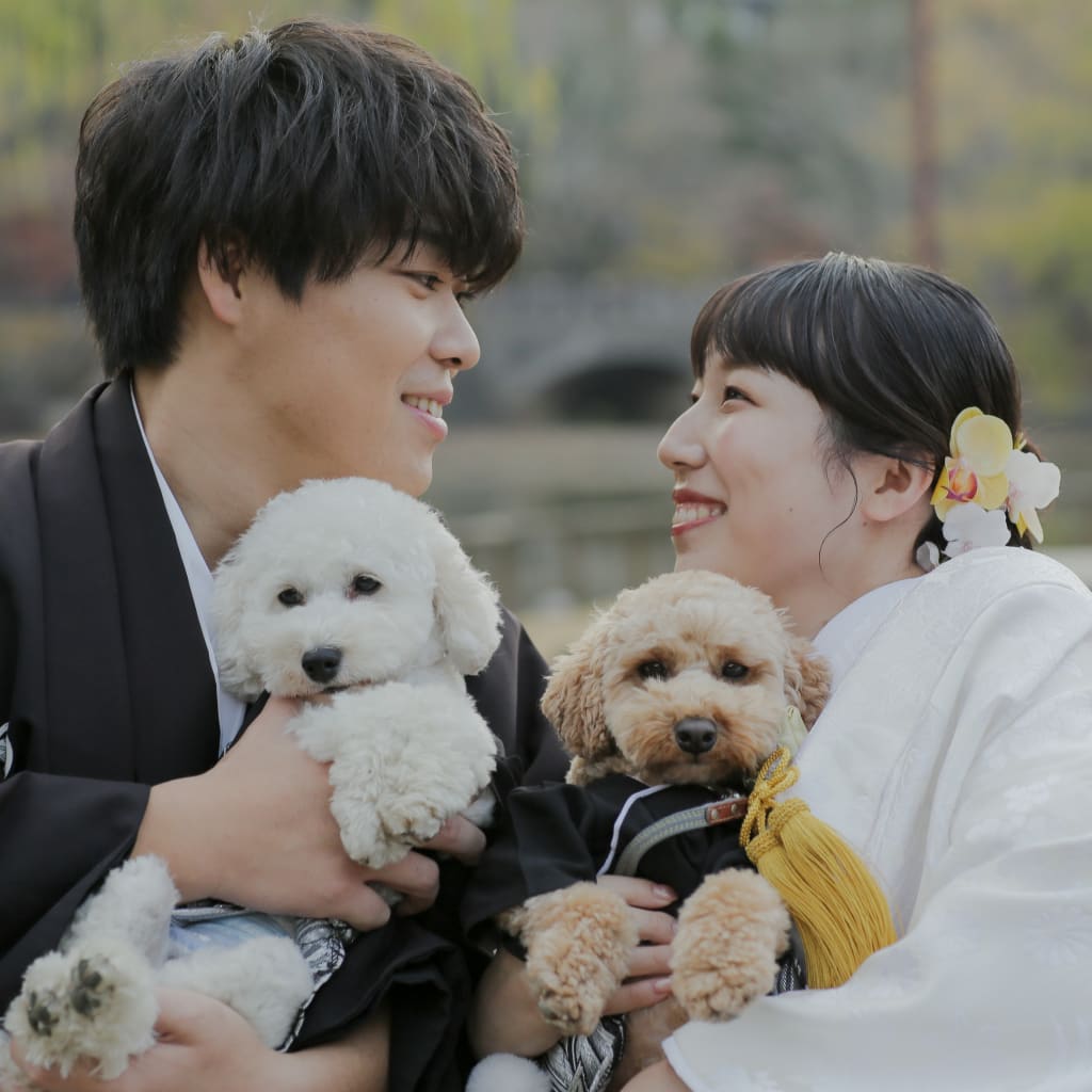 杪秋の奈良公園 | デコルテフォトグラフィー | 前撮り・フォトウェディング