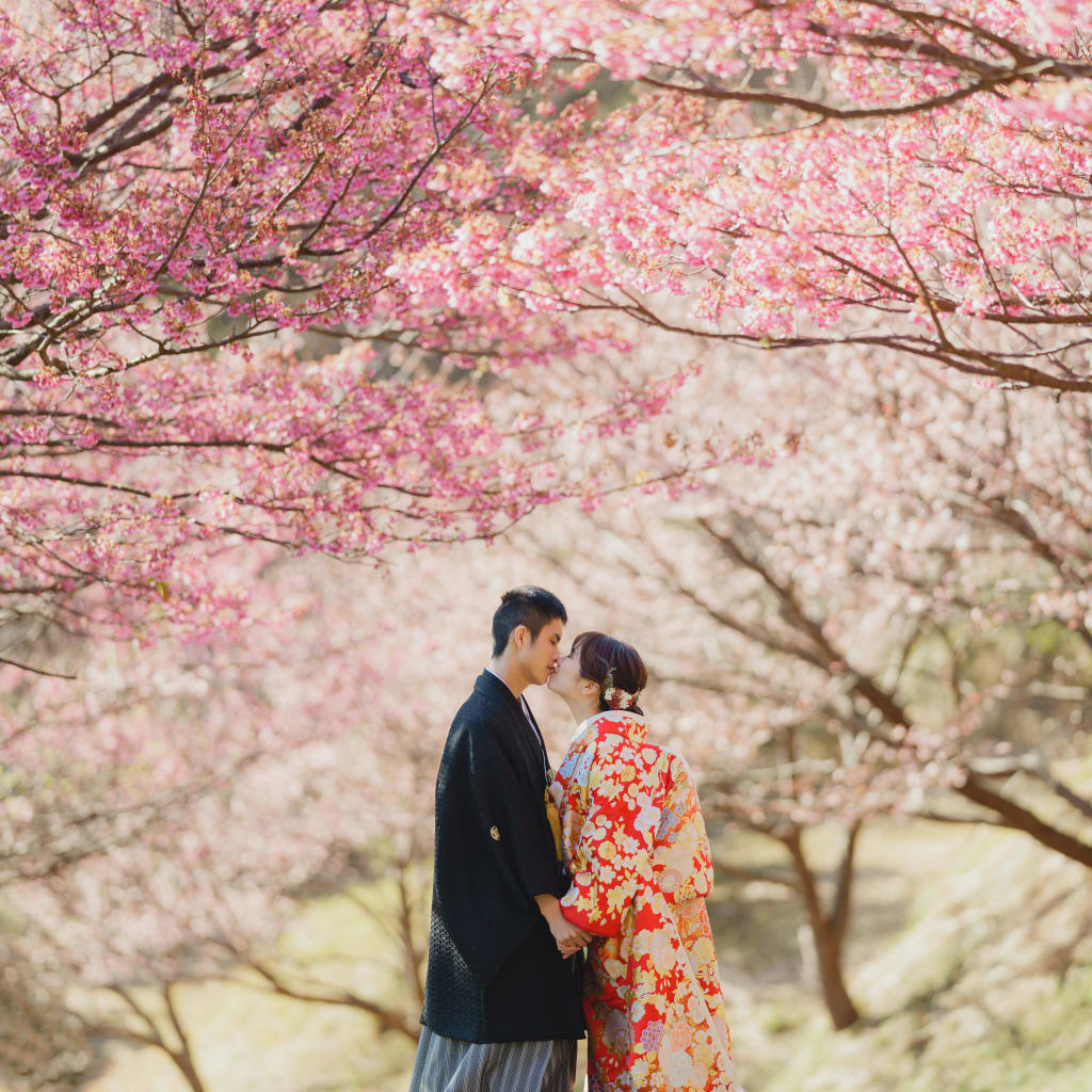 河津桜と菜の花の和洋撮影！！ | デコルテフォトグラフィー | 前撮り・フォトウェディング