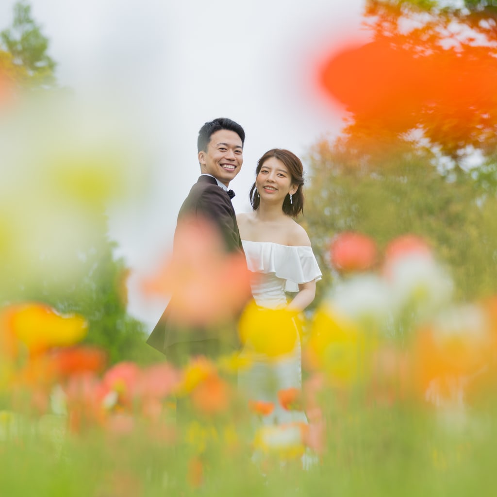 ポピーの花畑