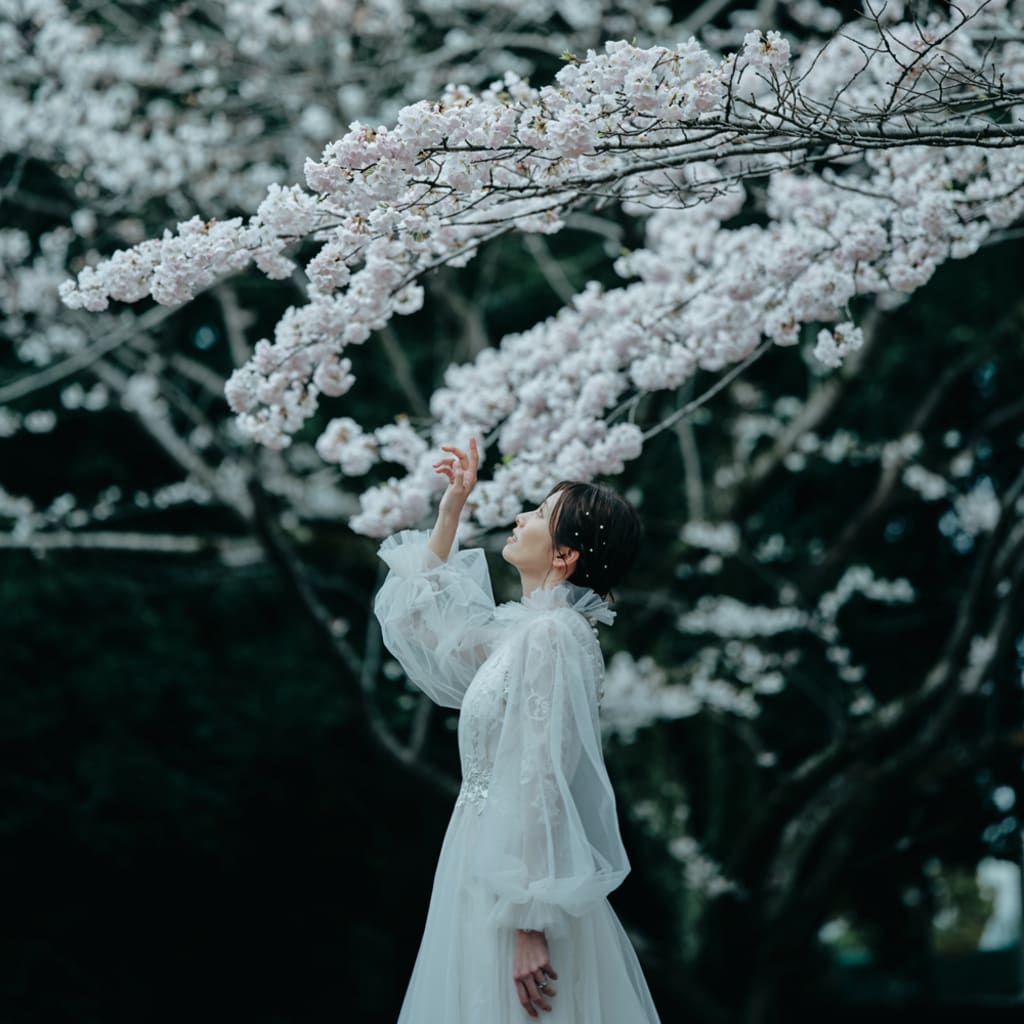 青葉の森公園,ウエディング,桜,ソメイヨシノ-16