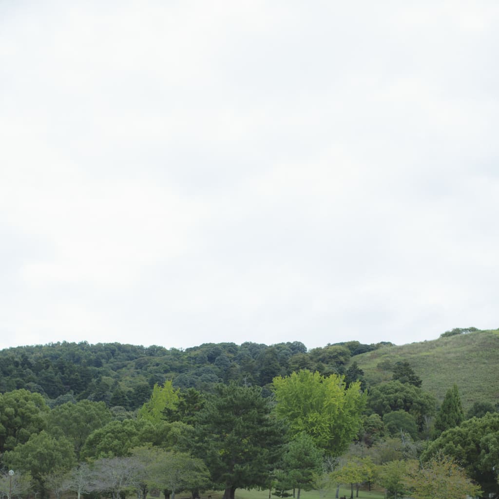 春日野園地＋浮見堂 | デコルテフォトグラフィー | 前撮り・フォトウェディング