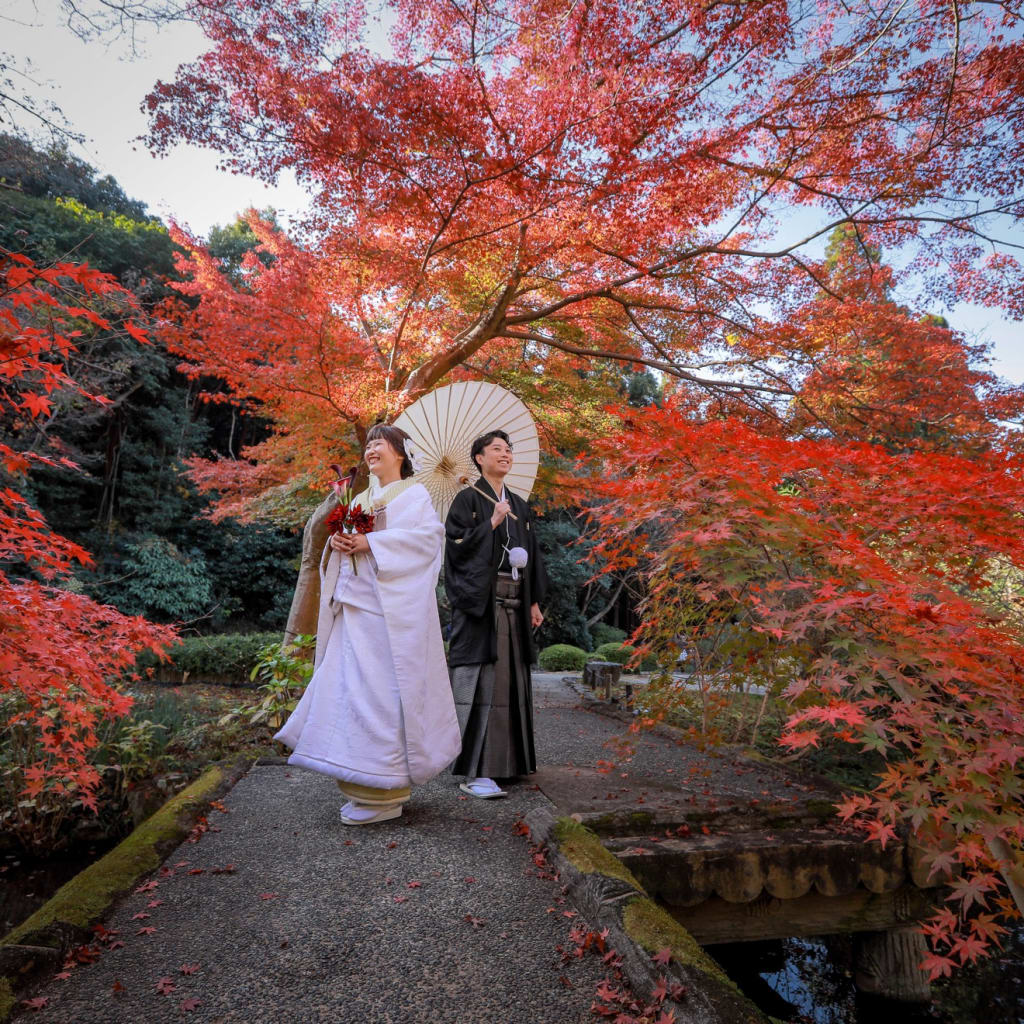 紅葉ロケおすすめ | デコルテフォトグラフィー | 前撮り・フォトウェディング