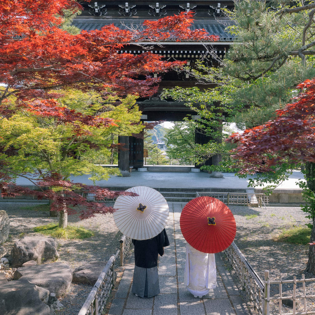 春の金戒光明寺で紡ぐ、紅葉の思い出 | デコルテフォトグラフィー | 前撮り・フォトウェディング