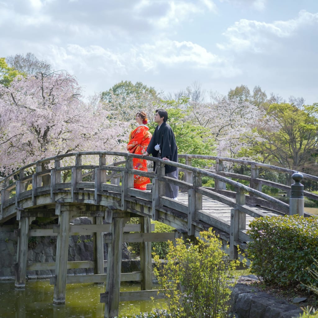 花田苑　桜