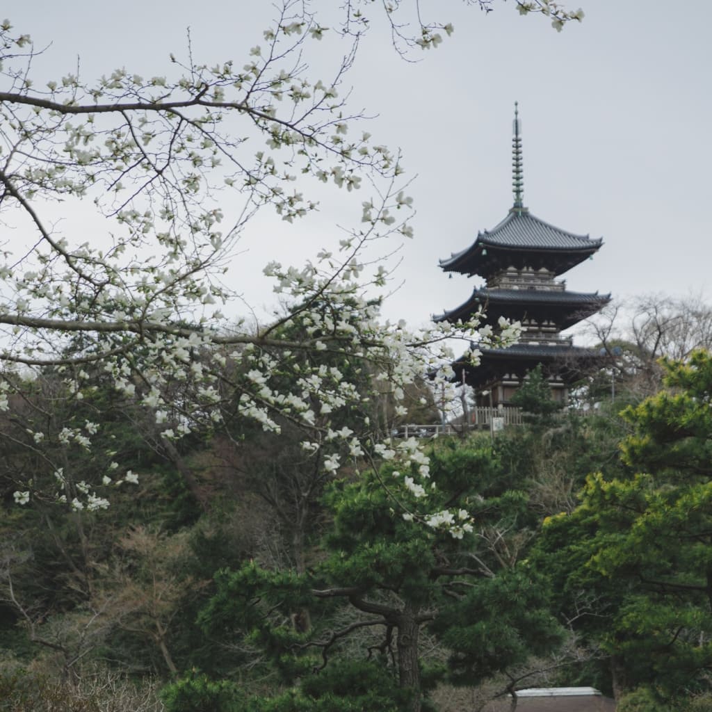 	風情のある三溪園