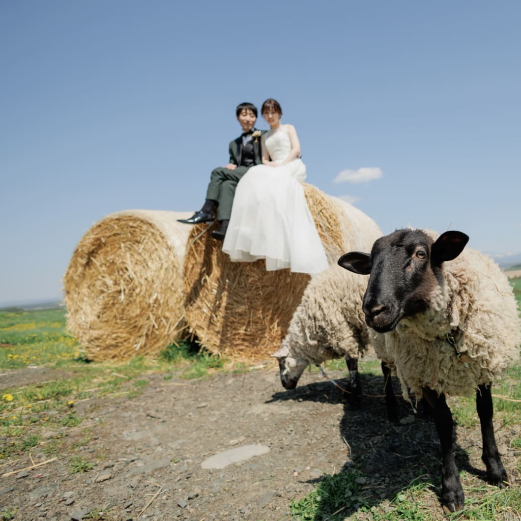 動物とウェディングフォト | デコルテフォトグラフィー | 前撮り・フォトウェディング