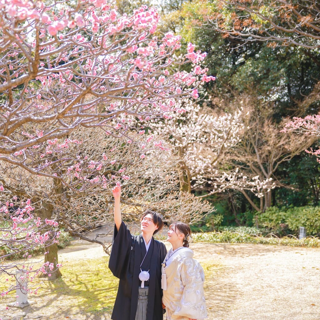 梅の花の満開なロケ | デコルテフォトグラフィー | 前撮り・フォトウェディング