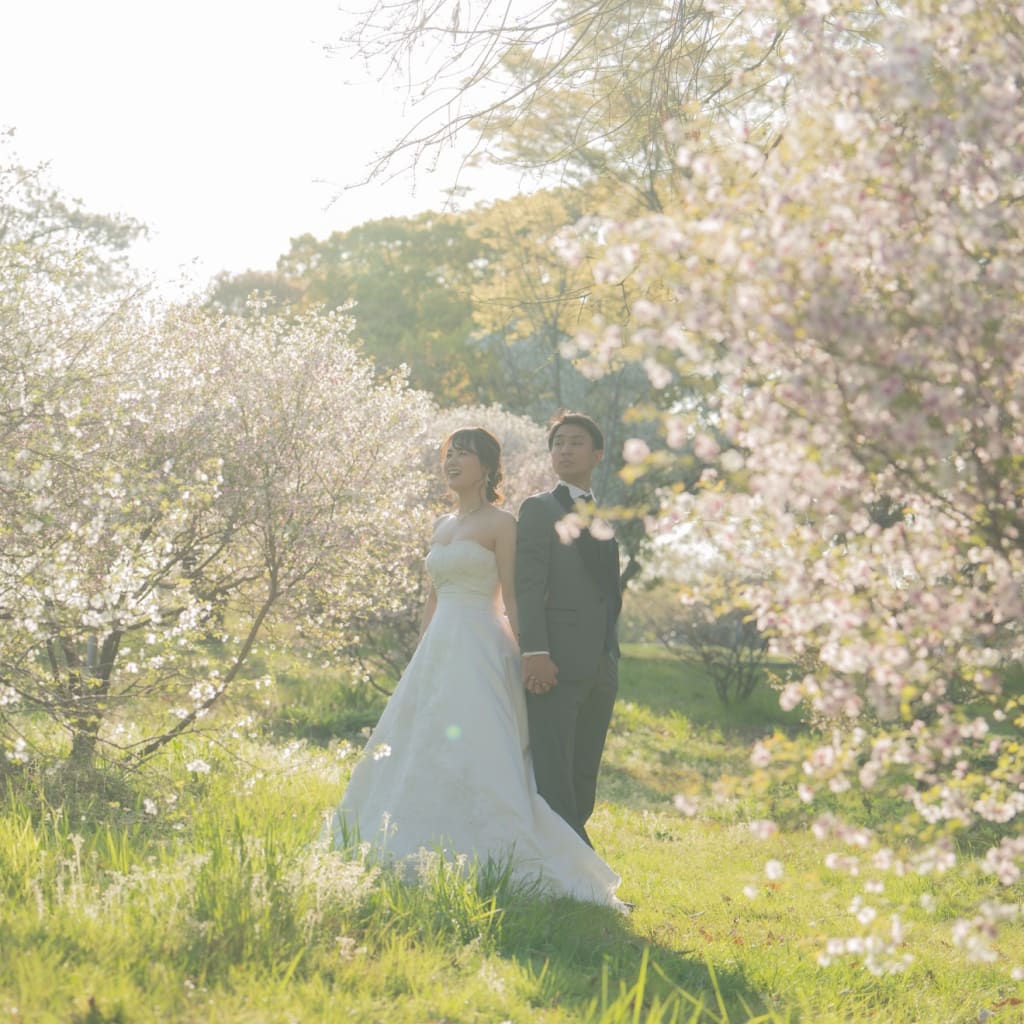 洋装桜ロケーション撮影◎ | デコルテフォトグラフィー | 前撮り・フォトウェディング