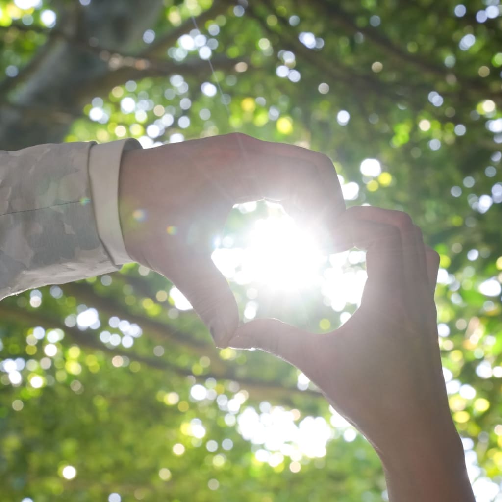 フクギ並木♪ | デコルテフォトグラフィー | 前撮り・フォトウェディング