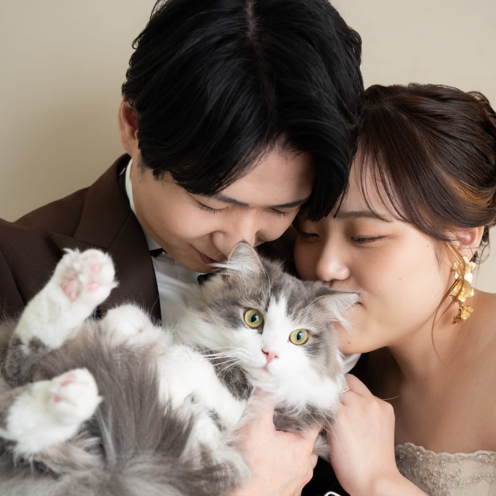 洋装ハウススタジオで猫ちゃんと撮影！