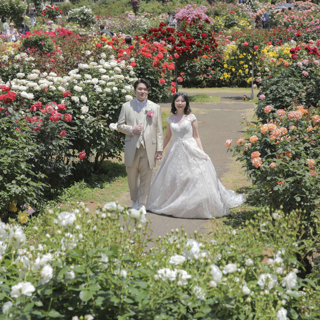 指名撮影で京成バラ園に行って来ました！in 千葉 | デコルテフォトグラフィー | 前撮り・フォトウェディング