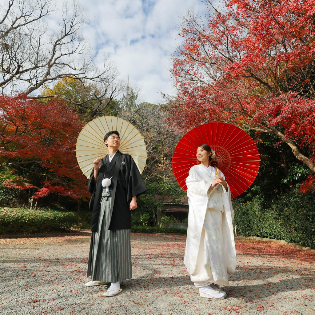 紅葉・木漏れ日・夕暮れの光　photo　by　谷澤明美