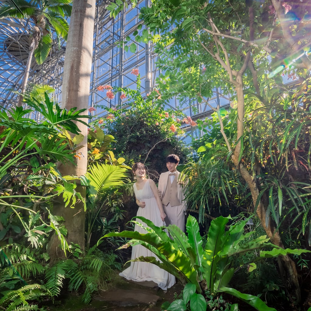 夢の島 熱帯植物館