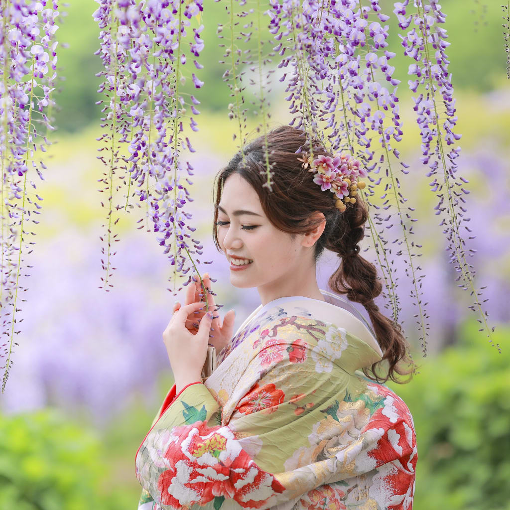 #藤 #和装