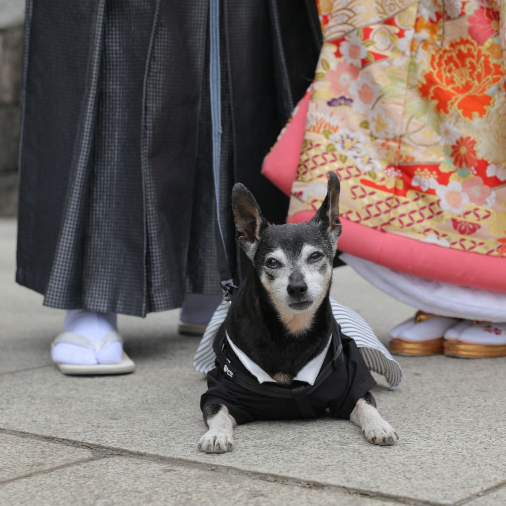 高幡不動尊で記念写真！ | デコルテフォトグラフィー | 前撮り・フォトウェディング