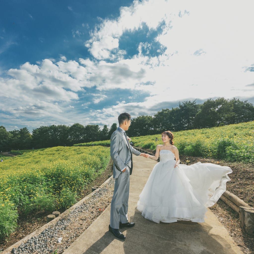 キバナコスモスの季節 | デコルテフォトグラフィー | 前撮り・フォトウェディング